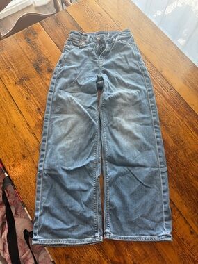 American Eagle Outfitters Light Blue Wide-Leg Jeans